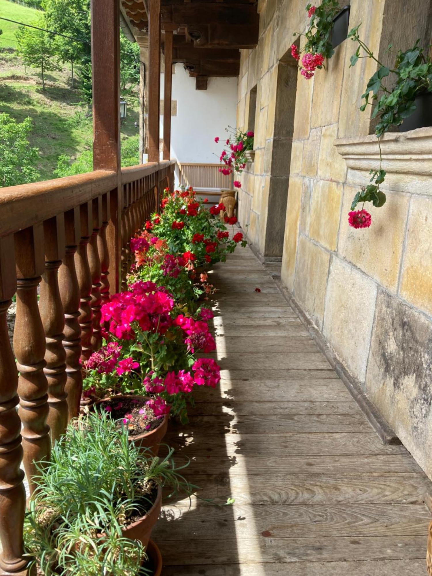 La Valuisilla, hotel rural Cicera Esterno foto